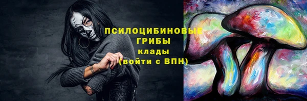 a pvp Новозыбков
