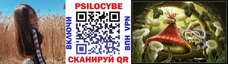 где купить наркотик  Слюдянка  ОМГ ОМГ зеркало  Галлюциногенные грибы прущие грибы 